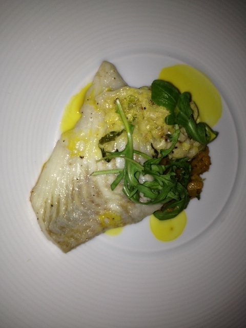 Turbot
