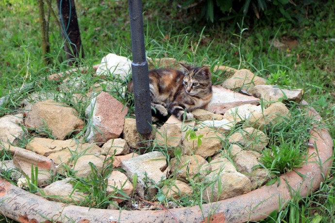 Da Roberto in Montisi