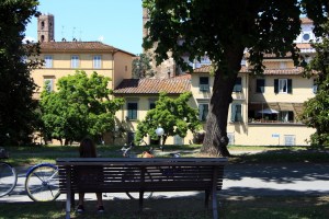 Lucca biking