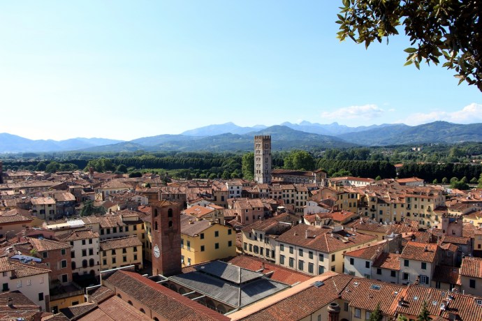 Lucca Guinigi Tower