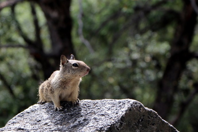 California-2015 1010