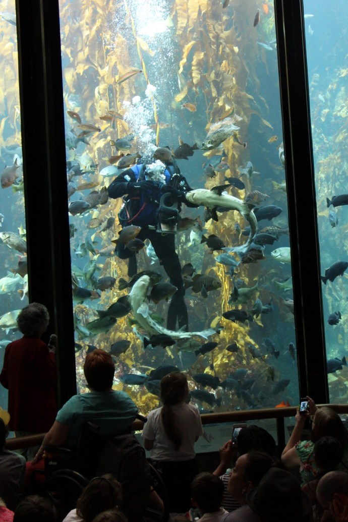 California-2015 1117