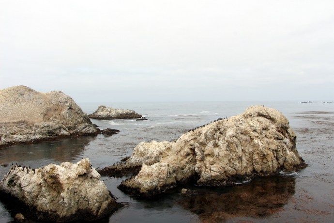 California-2015 1297