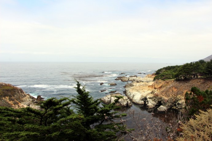 California-2015 1310