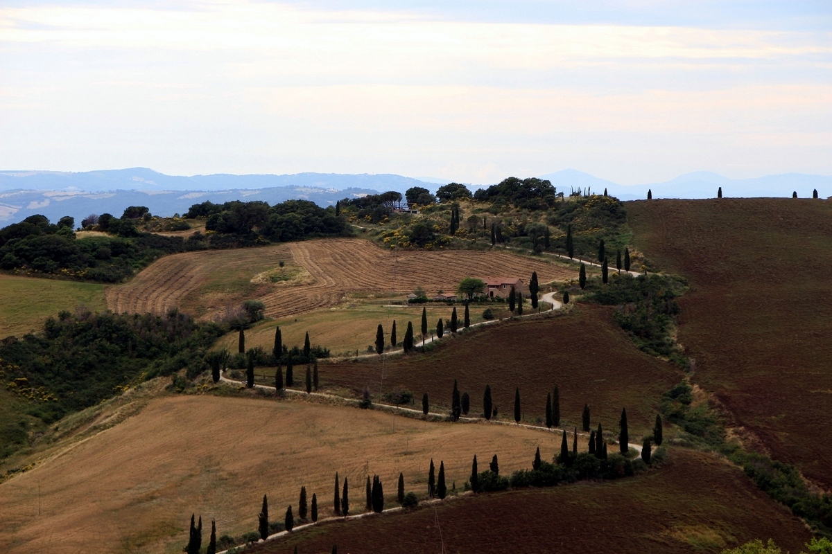 italy-2013-1105