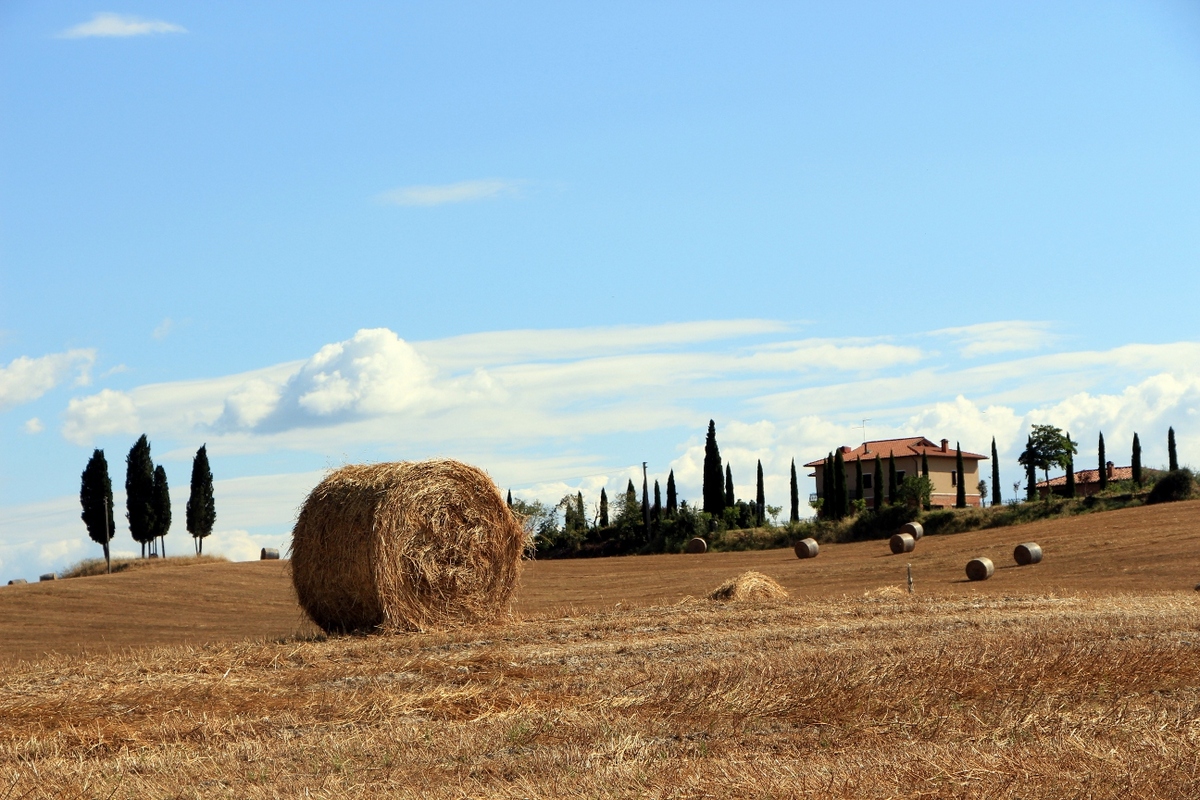italy-2013-1310