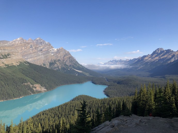 Peyto Lake